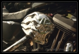 Harley - 3